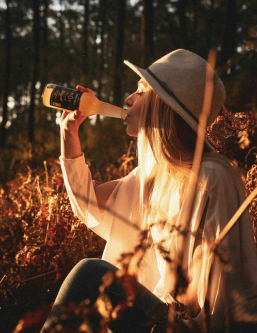 Ginger Beer Bio Gingeur 33 cl Sanzalc, cave sans alcool pour adultes décomplexés